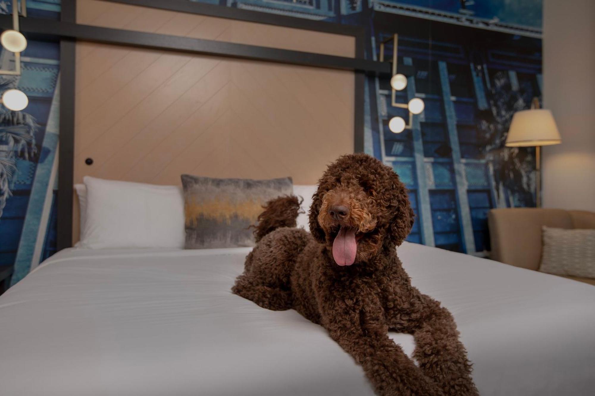 Hotel Indigo Jacksonville-Deerwood Park By Ihg Esterno foto